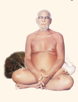 आचार्य श्री का साधना स्वरूप