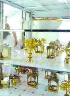 WhatsApp Image 2026-03-11 at 4.22.54 PM (2)